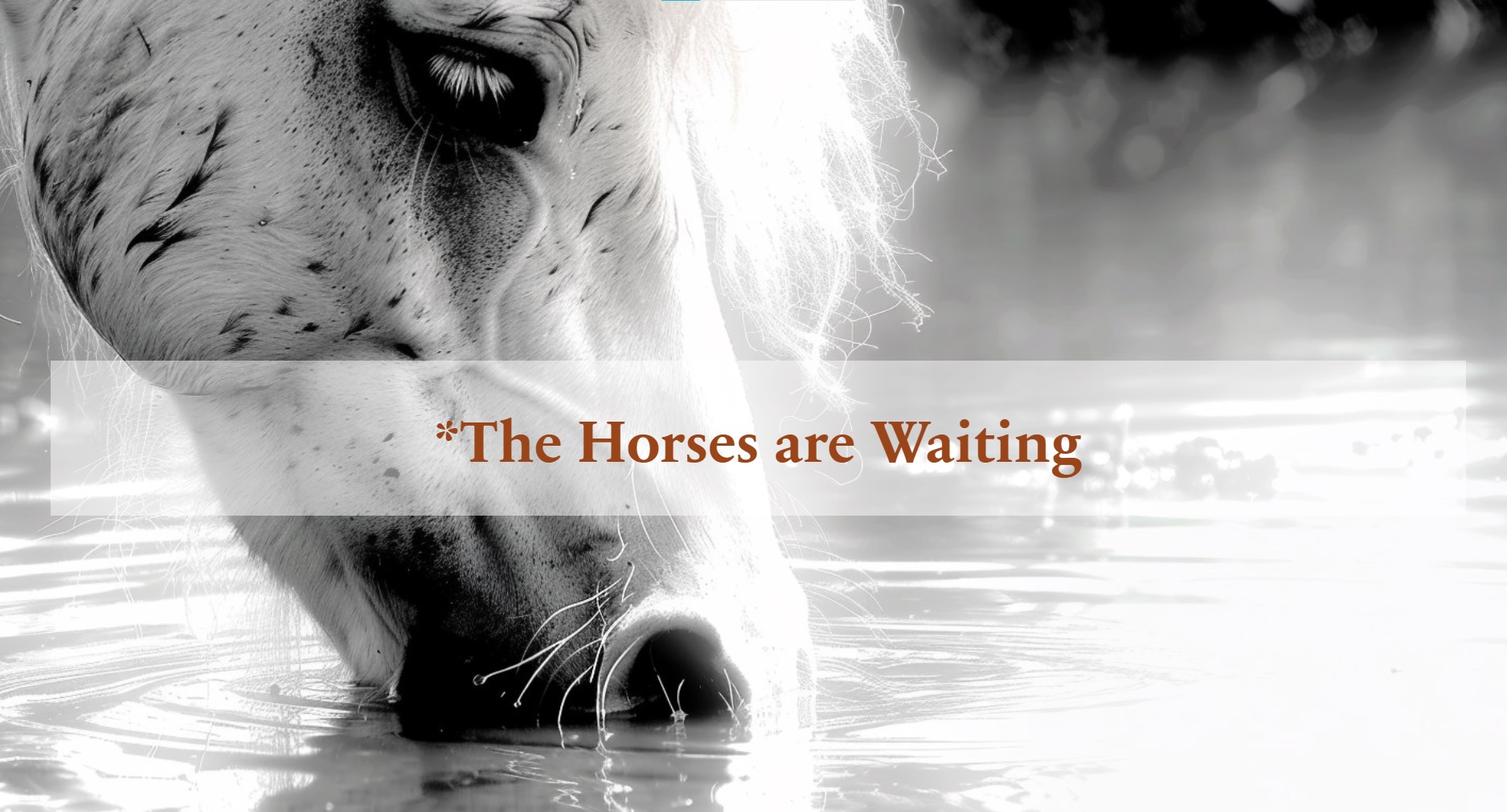 The Horses Are Waiting