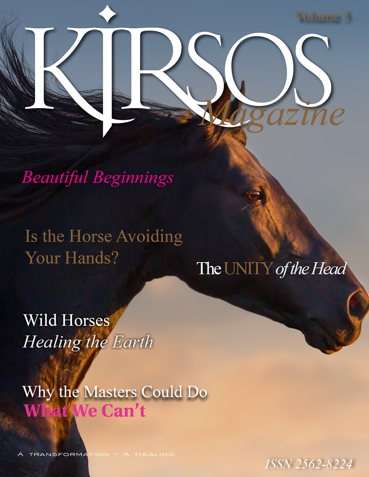 Kjrsos Magazine Volume 5