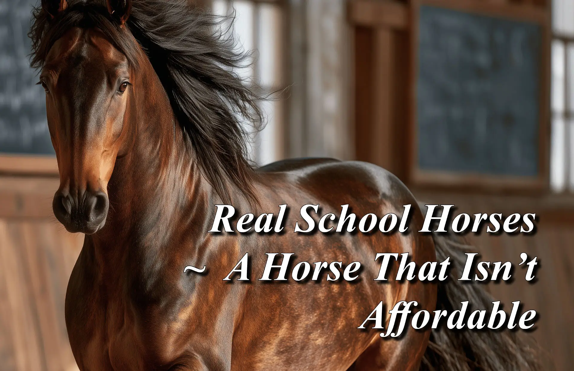 Real School Horses ~ A Horse That Isn't Affordable