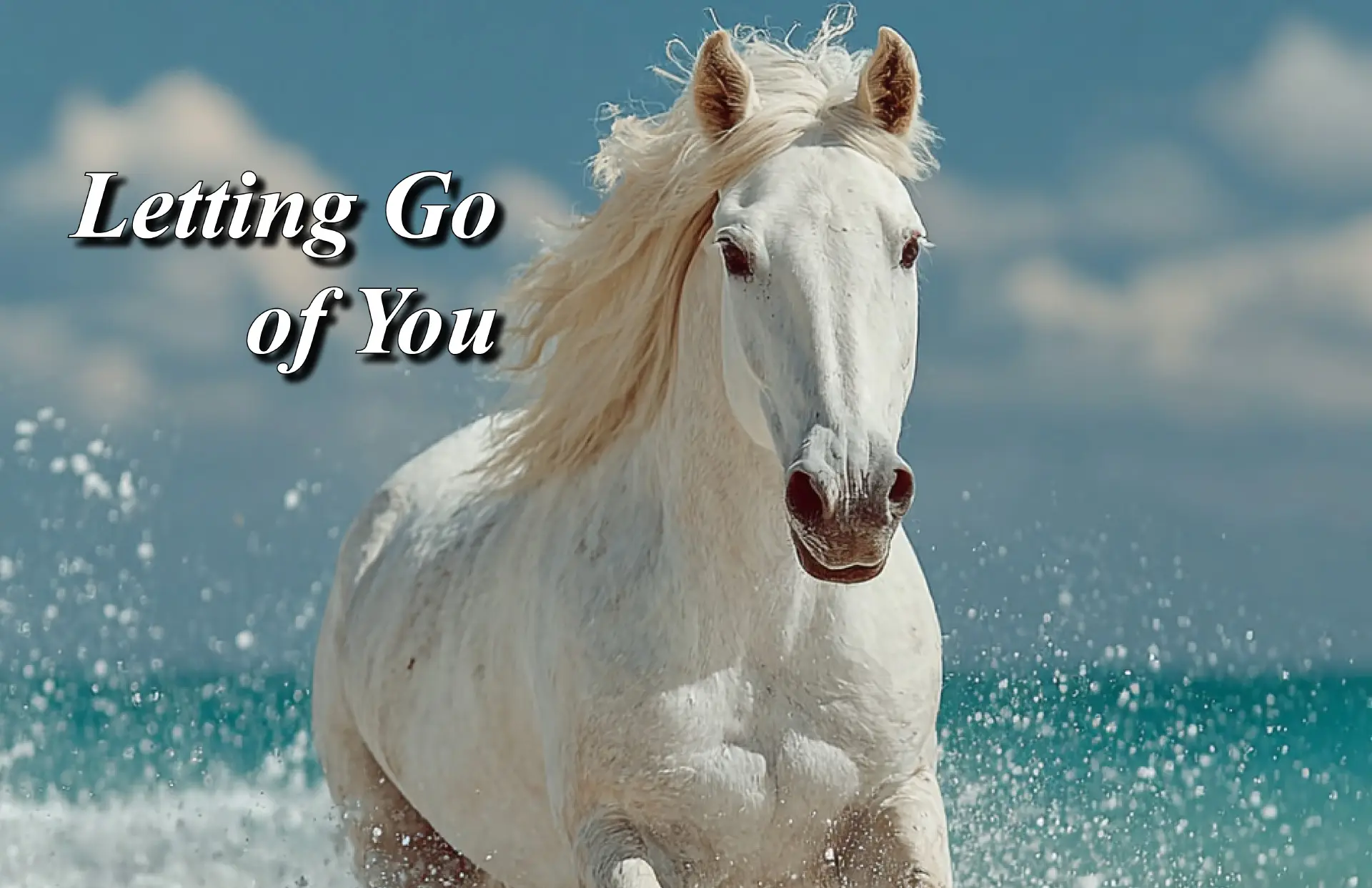 Letting Go of You