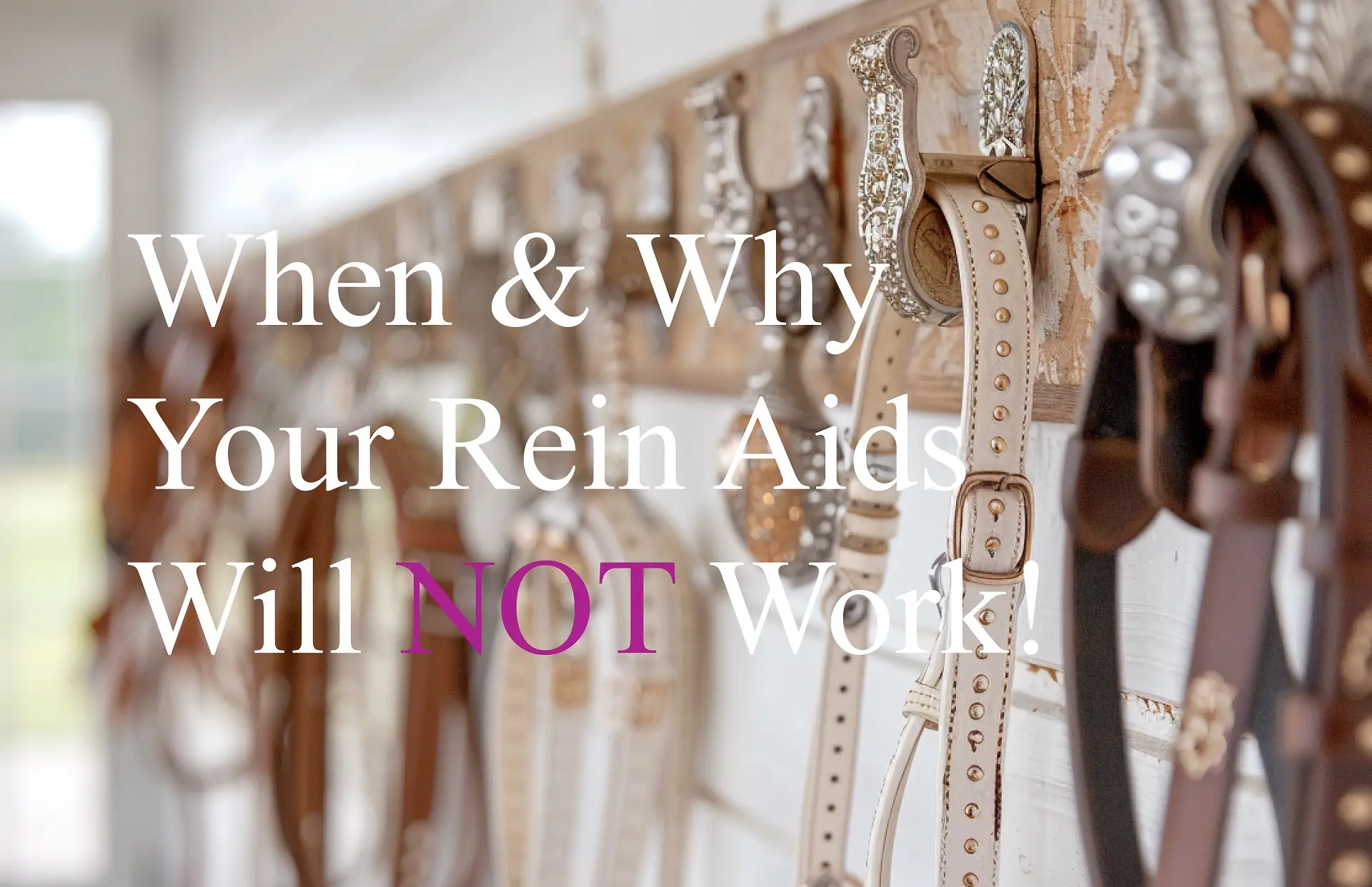 When the Reins Won't Work