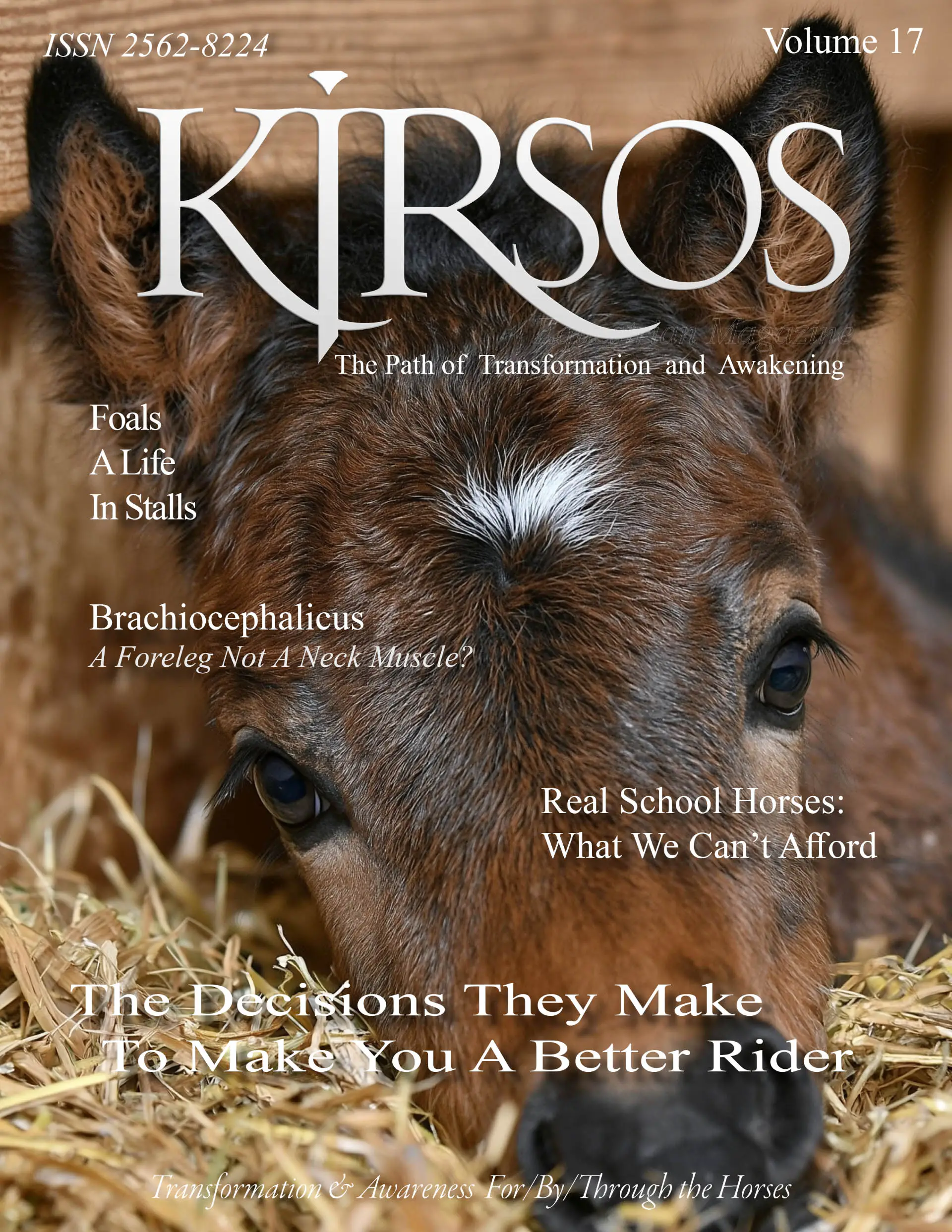Vol 17 Kjrsos Magazine