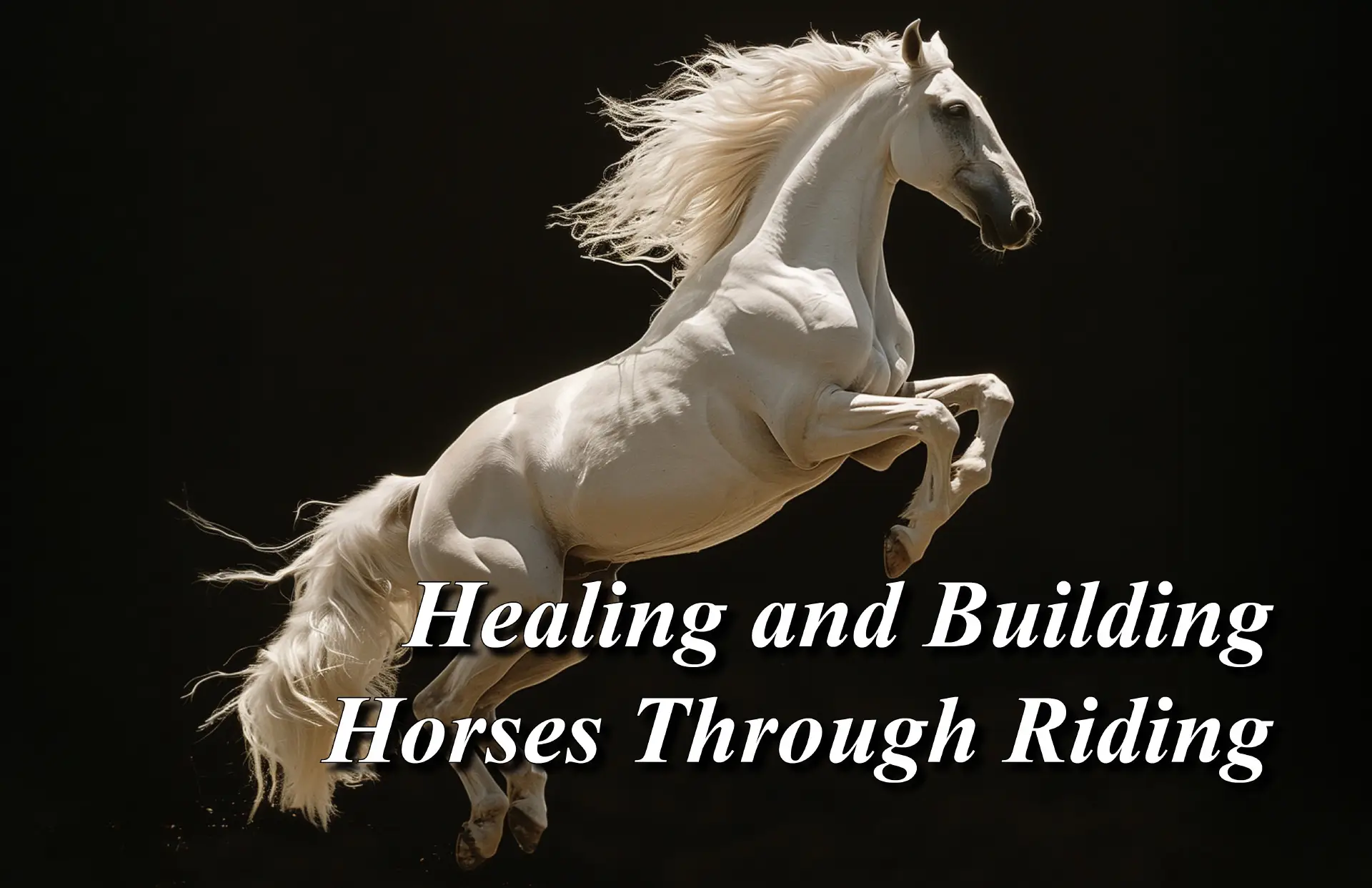 Healing Horses Through Riding