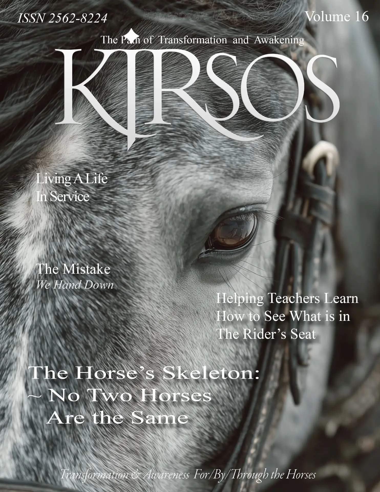 Kjrsos Magazine Volume 16