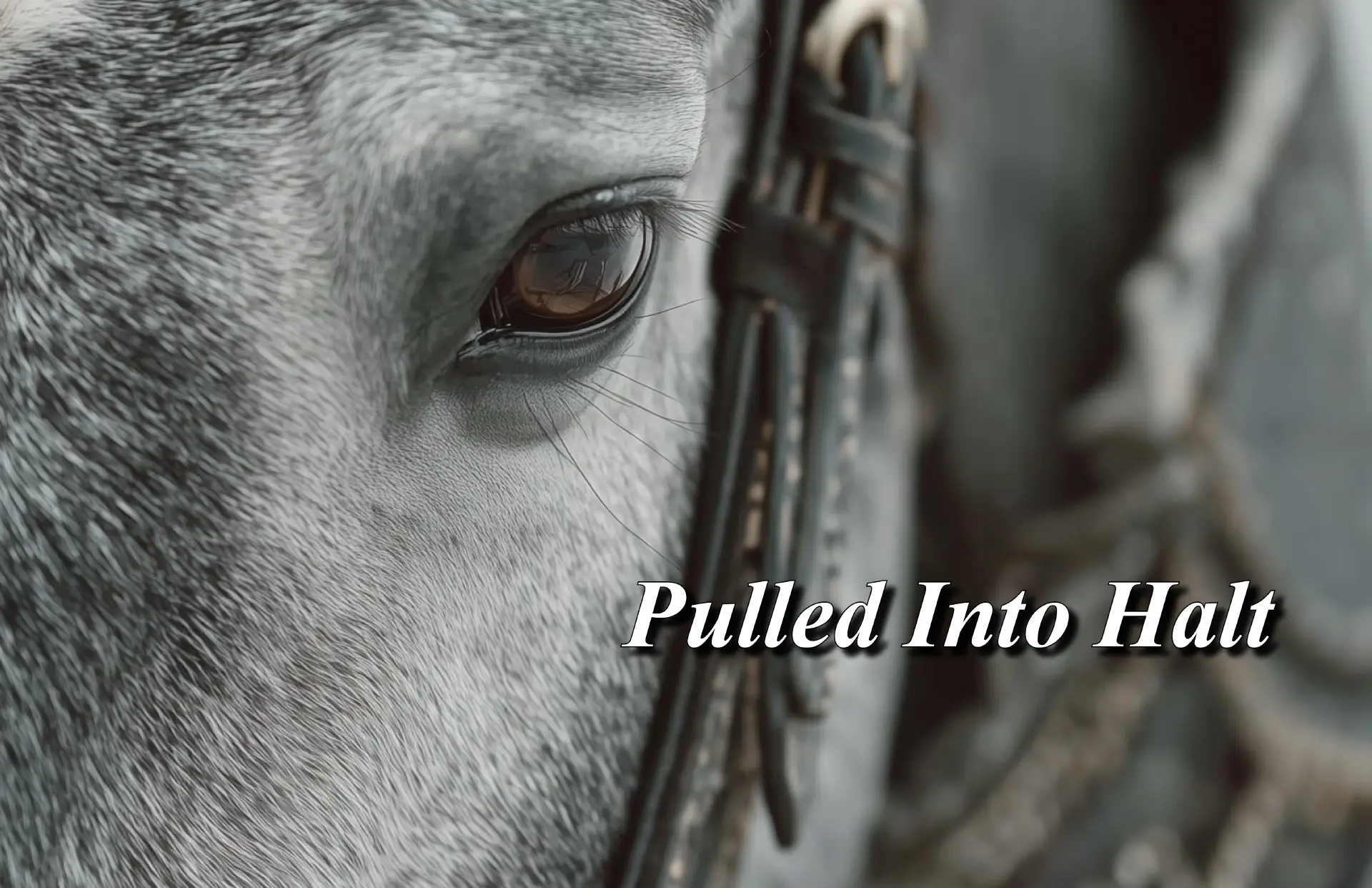Pulled Into Halt