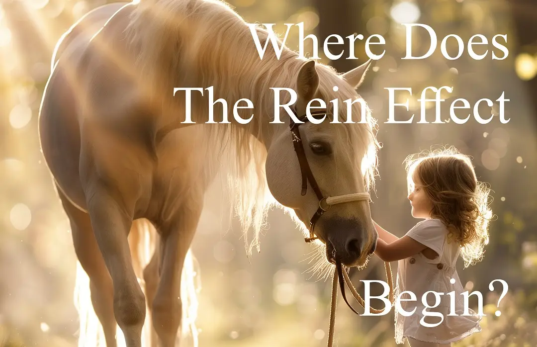 Where Does The Rein Effect Begin/End?