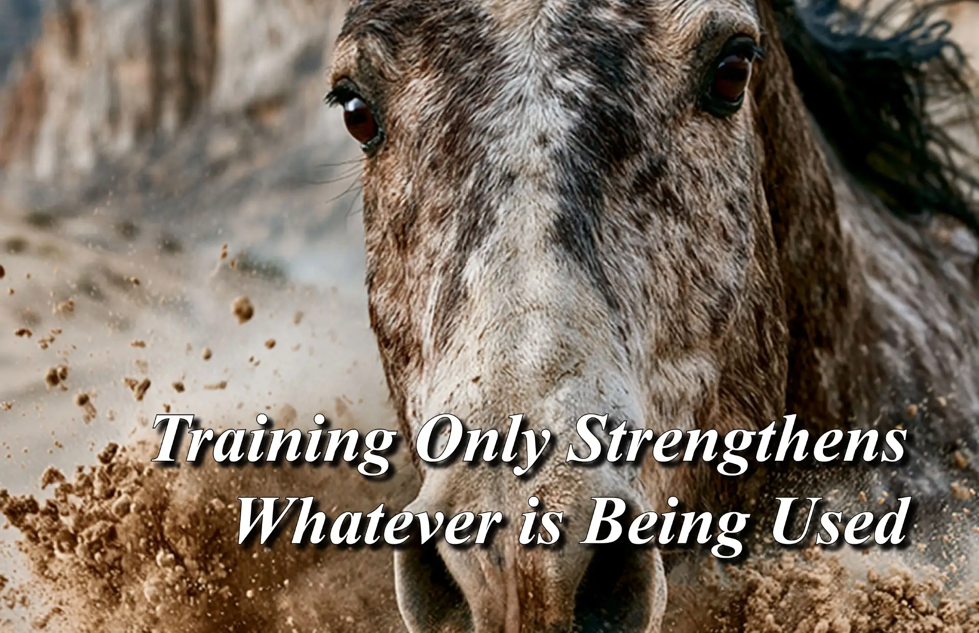 Training Only Strengthens Whatever is Being Used