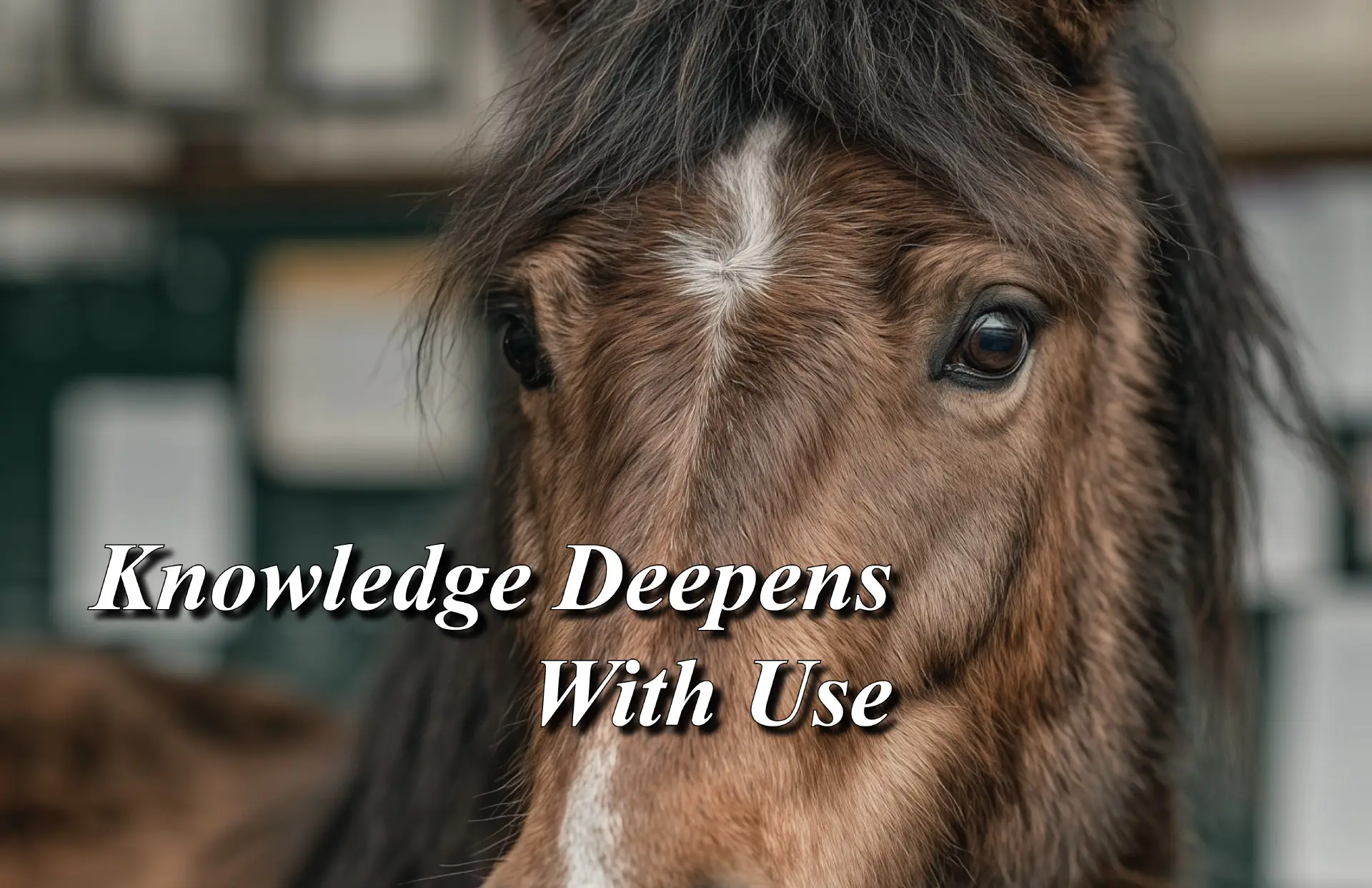 Knowledge Deepens With Use